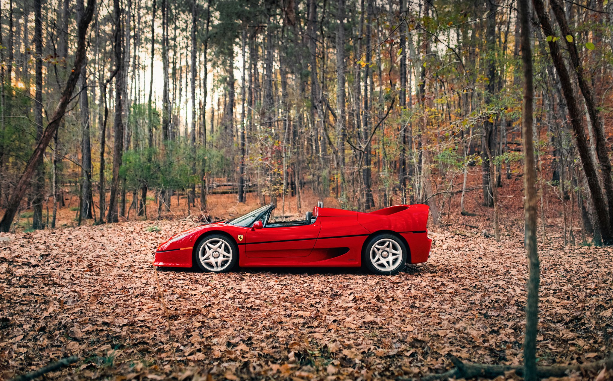 Ferrari F50